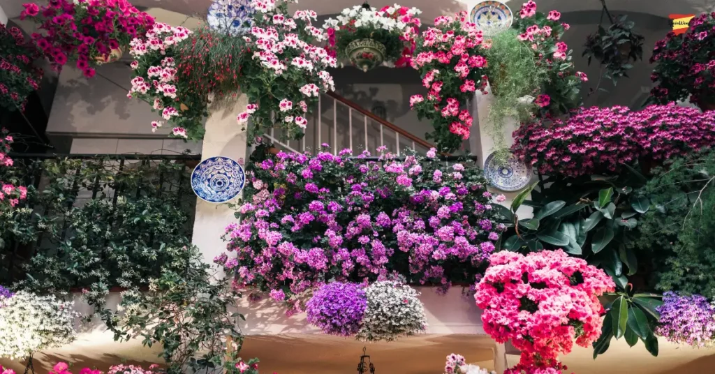 hotels in cordoba spain