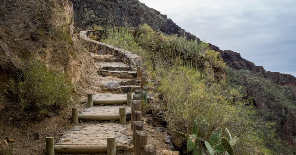 Barranco del Infierno in Adeje’s protected reserve